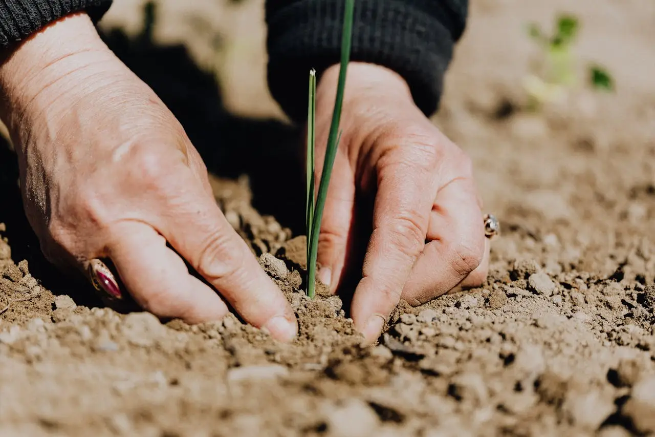 trabalhador rural plantando
