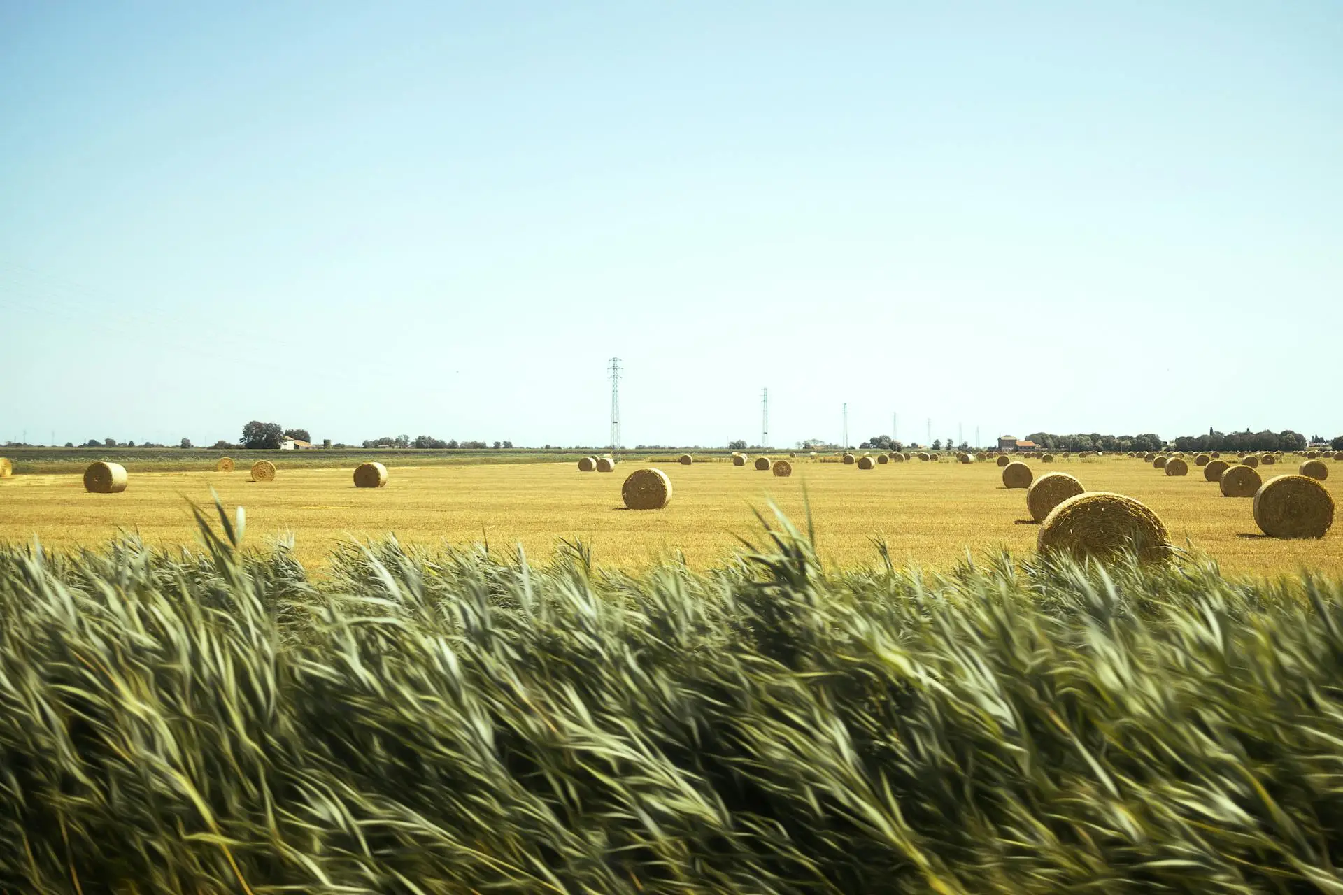 Financiamento Agrícola: Guia Completo para Produtores Rurais