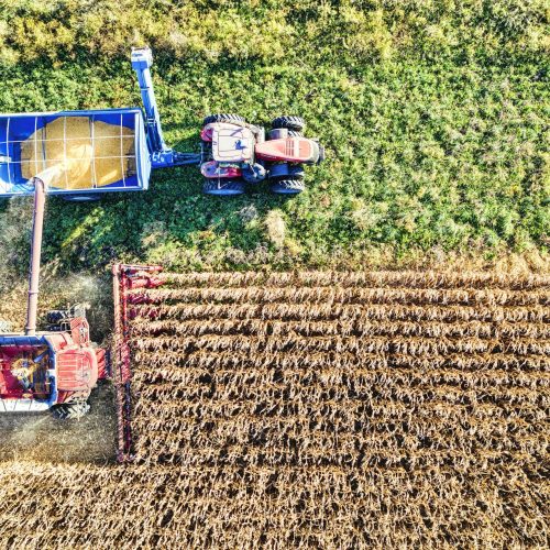 Integração Agroindustrial: O Futuro do Agronegócio no Brasil