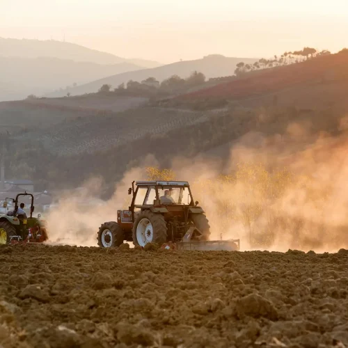Comodato Rural: Guia Completo e Atualizado para Produtores