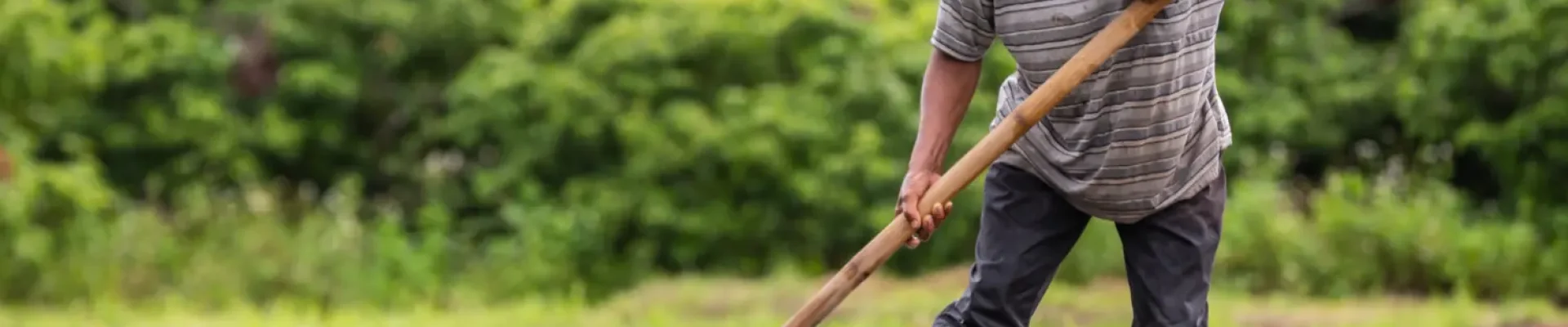Aposentadoria Rural: Regras, Benefícios e o Seu Direito