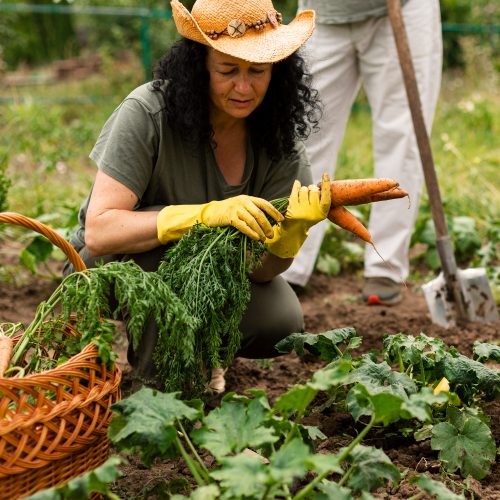Como Funciona a Aposentadoria por Agricultura?