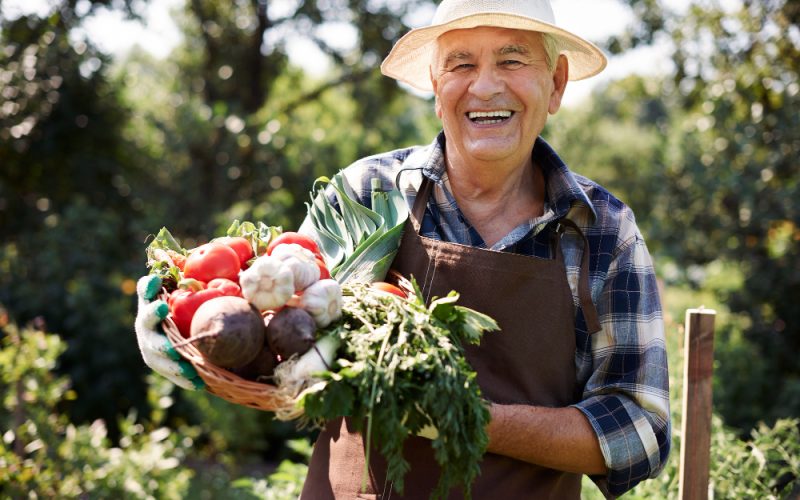 Quanto Tempo de Atividade Rural Dá Direito à Aposentadoria?