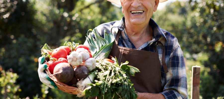 Quanto Tempo de Atividade Rural Dá Direito à Aposentadoria?